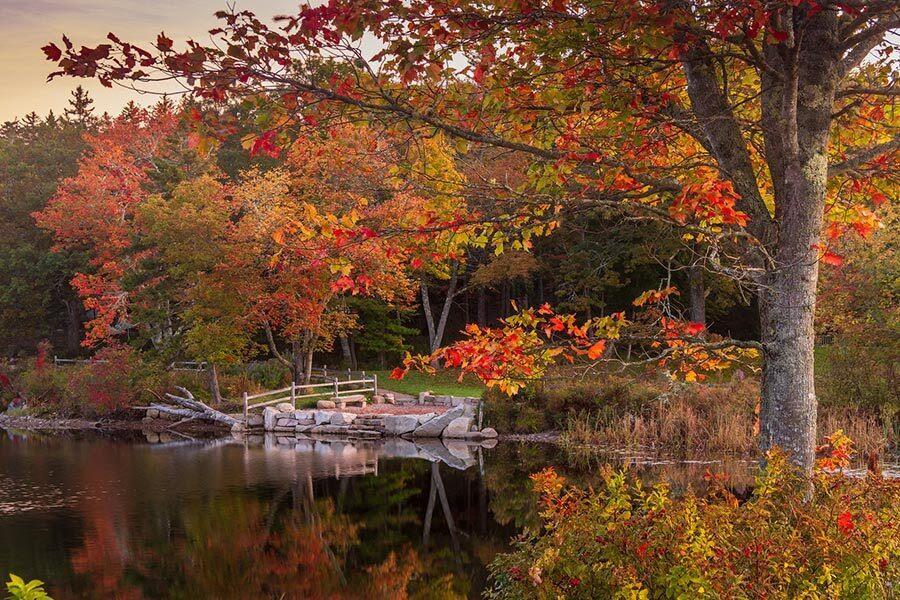Colorful fall foliage reflecting on a calm Maine pond with a small dock, showcasing waterfront property and Maine real estate lifestyle.