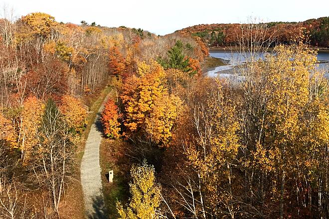 Belfast Rail Trail in Maine with walking path surrounded by trees