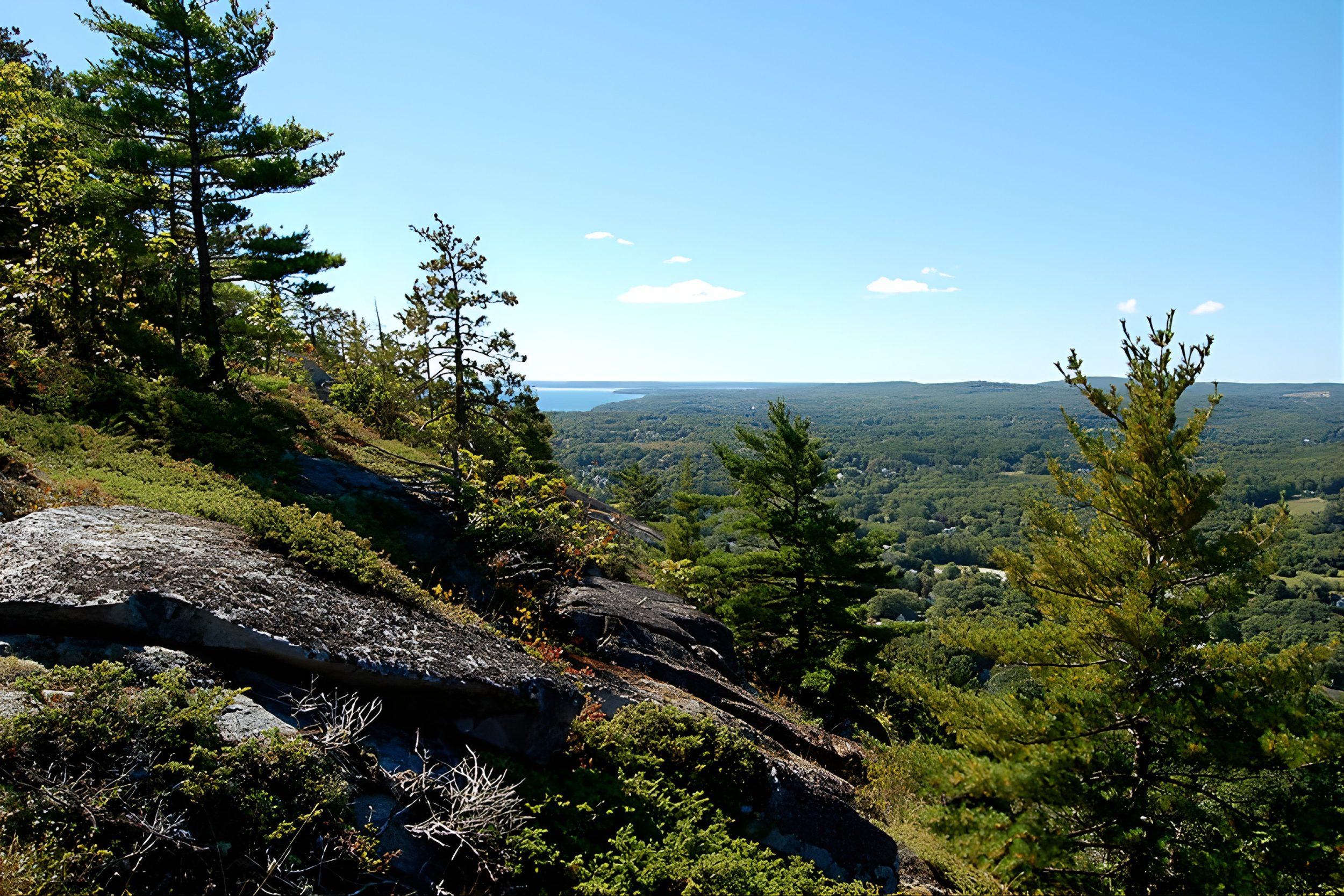 Camden Hills State Park in Maine with trees and coastal views