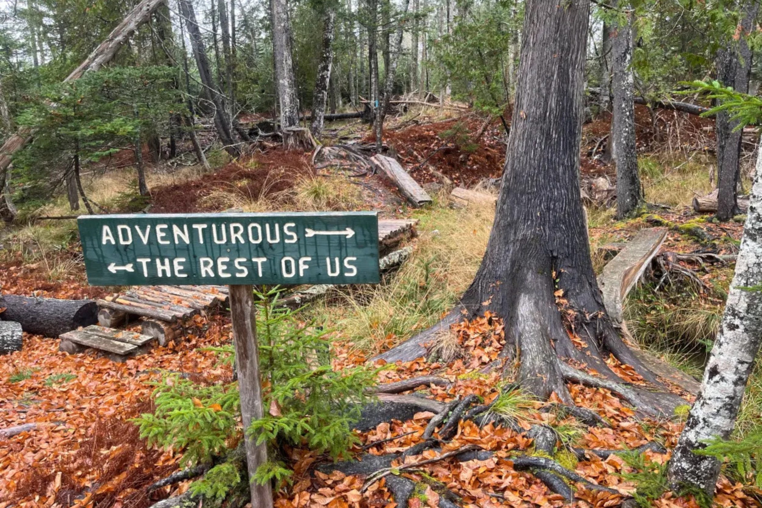 Wooded hiking trail in Islesboro Maine with directional sign and forest landscape