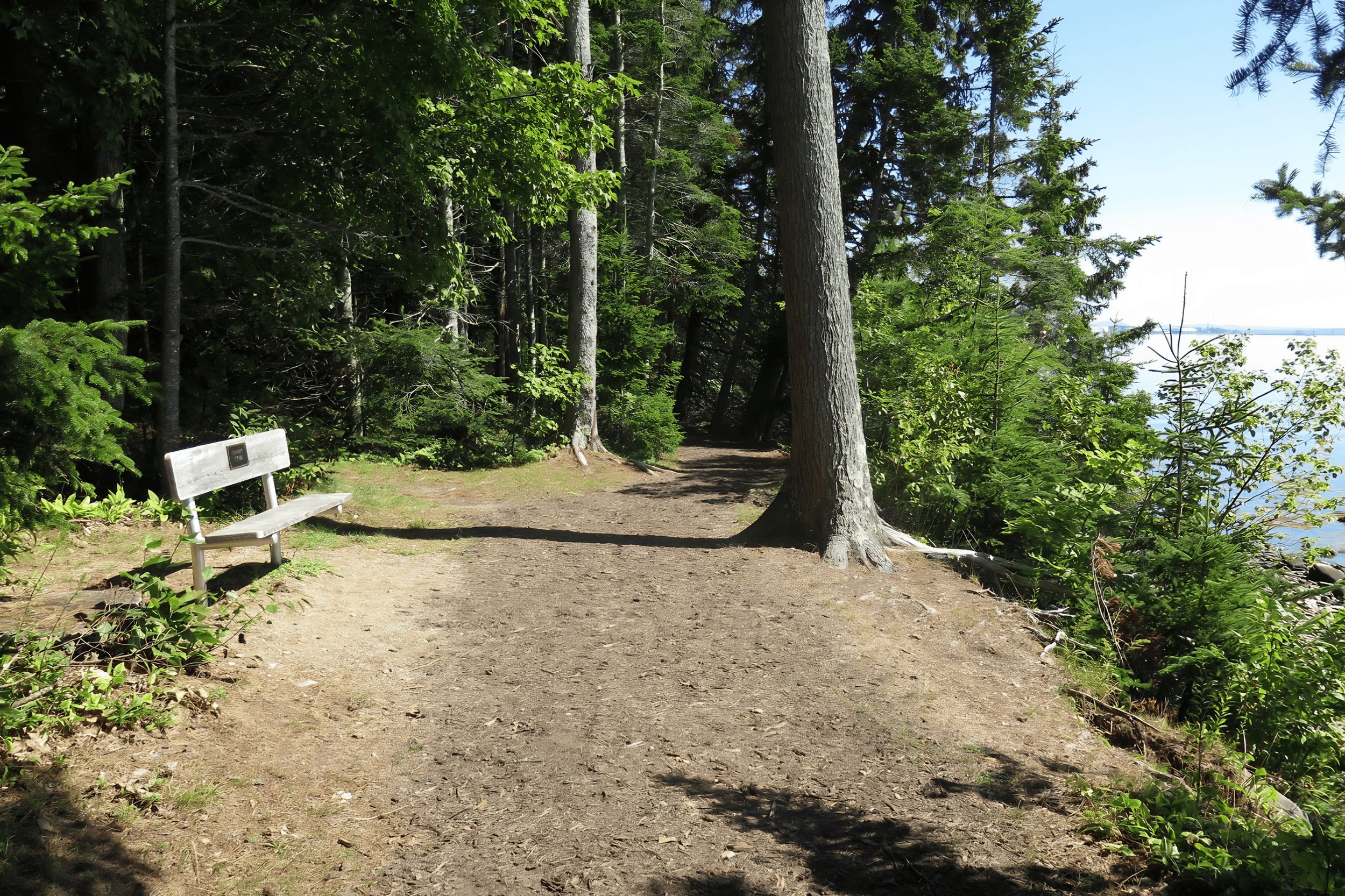 Walking trail through Moose Point State Park in Searsport Maine along Penobscot Bay